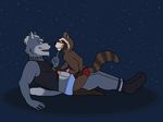  anthro blush canine clothing duo erection gay guardians_of_the_galaxy hicanyoumooforme male mammal marvel night nintendo penis raccoon rocket_raccoon star_fox video_games wolf wolf_o&#039;donnell 