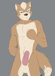  abs anthro balls brown_fur brown_nose canine chest_tuft erection fetchmonkey fox fox_mccloud fur green_eyes hair humanoid_penis looking_at_viewer male mammal muscles nintendo nude penis pose sheath smile solo standing star_fox tan_fur toned tuft video_games white_fur white_hair 