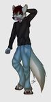  anthro canine clothing darachi djpandako foot_paws hair hoodie jeans looking_at_viewer male mammal paws solo standing wolf wulpowolfy 