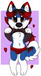  &lt;3 2015 anthro aster bulge canine clothed clothing cute digitigrade dog fur girly hair half-dressed husky icefire long_hair looking_at_viewer male mammal panties pinup pose smile solo sweater teeth underwear 