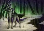  2015 anthro avian bird canine cape claws crow forest fur gloves grey_fur hybrid male mammal naira purple_fur snow solo taur tree wolf yellow_eyes 