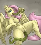 all_the_way_through anal anal_insertion anal_penetration anthro duo equine female fluttershy_(mlp) friendship_is_magic horse insertion living_insertion mammal my_little_pony pegasus penetration poisindoodles pussy reptile scalie snake wings 