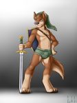  anthro canine clothing dog iztli link male mammal shield solo suggestive sword the_legend_of_zelda underwear video_games weapon 