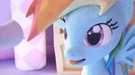  2015 3d animal_genitalia animated cum cum_on_face cumshot disembodied_penis duo equine erection female feral friendship_is_magic horsecock male mammal my_little_pony orgasm pegasus penis rainbow_dash_(mlp) solo_focus spectre_z wings 