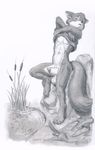  abs anthro arjuna canine disney fox male mammal muscles nude pecs public robin_hood robin_hood_(disney) solo 