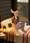  anthro balls bed blush bottomless brown_fur cabin caught clothed clothing demicoeur embarrassed erection fur green_eyes half-dressed lagomorph lantern male mammal open_mouth penis rabbit solo surprise whitelock 