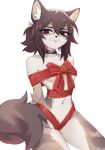 2024 anthro biped bitterk4t breasts brown_body brown_fur collar digital_drawing_(artwork) digital_media_(artwork) domestic_cat felid feline felis female female_anthro fluffy fluffy_tail fur gift_wrapped grey_body grey_fur hair hands_behind_back hi_res hybrid inner_ear_fluff looking_at_viewer mammal navel nicky_(bitterk4t) procyonid raccoon red_bow_ribbon simple_background spiked_collar spikes tail tuft under_boob white_background white_inner_ear_fluff