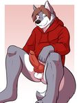 anthro balls barefoot black_nose bottomless brown_hair canine clamcrusher erection hair hoodie knot male mammal pantless penis solo wolf 