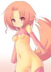  animal_ears blush bottomless breasts elbow_gloves female fox_ears fox_tail gloves hair human kourourin looking_at_viewer mammal navel nipples plain_background pussy red_eyes red_hair small_breasts solo 
