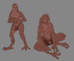  anthro avian azir_(league_of_legends) beak bell bird blush clothing collar custard_apples digitigrade erection feathers grey_background male muscles nude pecs penis plain_background sitting solo spread_legs spreading standing talons thong underwear video_games 