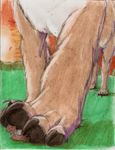  ambiguous_gender anthro boca bushes canine dog duo feral foot_focus grass macro mammal micro sunset traditional_media_(artwork) 