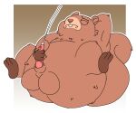absurd_res amazon_(company) anthro aroused balls big_balls big_tail bob-jiggles bodily_fluids brown_body brown_fur buckteeth butt cum cumshot ejaculation erection eyes_closed fluffy fluffy_tail fur genital_fluids genitals glenn_(kevin) hand_on_penis hands_behind_back hands_behind_head hi_res kevin_(tv_series) leaning leaning_backward looking_pleasured male male/male mammal masturbation nervous nude orgasm overweight overweight_male penis raised_arm rodent rounded_ears sciurid simple_background sitting slightly_chubby slightly_chubby_anthro slightly_chubby_male small_nose solo spread_legs spreading tail teeth tree_squirrel vein veiny_penis