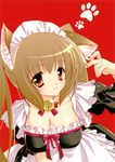  animal_ears brown_hair cat_ears copyright_request highres maid shigunyan solo twintails 