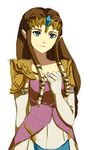  blue_eyes brown_hair elbow_gloves gloves long_hair muse_(rainforest) pointy_ears princess_zelda solo the_legend_of_zelda the_legend_of_zelda:_twilight_princess tiara 