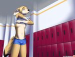  2015 anthro blue_eyes bulge canine clothing fennec fox fur hair immelmann locker_room long_hair male mammal sedjet_ahmes_(character) slim smile solo standing underwear undressing 