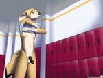  2015 anthro balls blue_eyes bottomless canine clothed clothing fur hair half-dressed immelmann locker_room male mammal nude penis sedjet_ahmes_(character) slim solo uncut undressing 