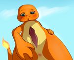  animal_genitalia anus charmander erection feline-fattale genital_slit low-angle_shot male nintendo penis perspective pok&eacute;mon precum reptile scalie slit solo video_games 