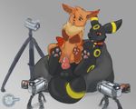  camera eevee eeveelution emma_the_eevee female feral feral_on_feral male metalfox nintendo pok&eacute;mon qwazzy umbreon vaginal video_games 