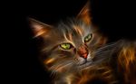  ambiguous_gender black_background cat digital_media_(artwork) feline feral fractal green_eyes mammal oldhippy68 photorealism plain_background slit_pupils solo whiskers 