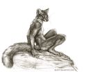  2015 anthro digitigrade fur kenket long_tail looking_at_viewer looking_back male mammal marten monochrome mustelid nude outside pine_marten plain_background rock sitting solo whiskers 