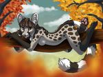  anthro autumn breasts brown_eyes brown_hair claws cloud cute female genet genetta hair inner_ear_fluff leaves long_tail looking_at_viewer lying mammal nude outside pawpads paws side_boob solo spots tree werella 