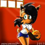  2013 akatsukishiranui-fox anthro bipedal feline female gym_uniform lynx mammal nicole_the_lynx sega solo sonic_(series) 