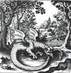 ambiguous_gender claws dragon looking_at_viewer lucas_jennis monochrome ouroboros outside scalie solo tail_bite tree wings 