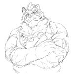 anthro felid hi_res lin_hu male mammal nekojishi pantherine solo studio_klondike tiger tobikara3