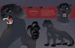 2024 ambiguous_gender artist_name big_claws black_claws black_hair claws dated eyelashes fangs felid female_(lore) feral fur glistening glistening_eyes gradient_hair grey_body grey_fur grey_hair hair hi_res leopard mammal model_sheet mouth_closed multicolored_hair open_mouth pantherine red_tongue santanahoffman sharp_teeth simple_background solo teeth text tongue two_tone_hair