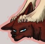 anthro blue_eyes canid canine claws displeased duo female fox foximellian_montanna fur furrymammy hi_res male mammal paws paws_on_head red_body red_fur sariel_kitsune tan_body tan_fur toe_claws