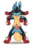 2015 3_fingers 3_toes angry animal_genitalia anthro balls canine_penis chibi clenched_teeth erection fur knot looking_at_viewer lucario male mega_evolution mega_lucario nintendo oob penis pink_penis pok&eacute;mon pose red_eyes solo spikes standing teeth toes vein veiny_penis video_games 