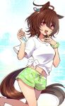  1girl :d agnes_tachyon_(umamusume) ahoge animal_ears blush brown_hair brown_tail chiyakobu earrings green_scrunchie green_shorts hair_between_eyes highres holding holding_test_tube horse_ears horse_girl horse_tail jewelry medium_hair messy_hair midriff navel open_mouth red_eyes scrunchie shirt short_sleeves shorts sidelocks single_earring smile solo t-shirt tail teeth test_tube tied_shirt umamusume upper_teeth_only white_shirt wide_sleeves wrist_scrunchie 