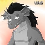  anthro dragon fluff fluff_dragon male mane silvolf vas_vadum 
