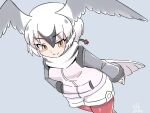  bird_girl bird_tail bird_wings blush cowboy_shot from_above fur_trim grey_fur grey_hair grey_sleeves hair_between_eyes hand_in_pocket head_wings highres hood hoodie kemono_friends long_sleeves mo23 multicolored_hair pantyhose red_pantyhose ross&#039;s_gull_(kemono_friends) scarf short_hair short_shorts shorts sidelocks smile tail white_hair white_hoodie white_scarf white_shorts wings yellow_eyes 