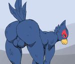  a-side anthro avian backsack balls beak bent_over blue_body blue_eyes butt falco_lombardi feathers looking_at_viewer looking_back male nintendo nude penis pose smile solo standing star_fox video_games 