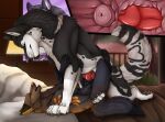  animal_genitalia animal_penis between_legs black_body black_fur blue_eyes brown_body brown_fur canid canine canine_genitalia canine_penis cutaway duo ember_(crazycobalt) erection eye_contact female female_penetrated feral feral_on_feral feral_penetrated feral_penetrating feral_penetrating_feral from_front_position frost_(crazycobalt) fur genitals hi_res internal killthe_demon knot looking_at_another lying male male/female male_penetrating male_penetrating_female mammal markings missionary_position narrowed_eyes on_back open_mouth orange_markings penetration penile penile_penetration penis penis_in_vagina red_eyes sex side_view vaginal vaginal_penetration white_body white_fur yellow_markings 