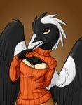  amber_eyes anthro avian bingodingo bird black_feathers female keyhole_turtleneck looking_at_viewer sweater wings 