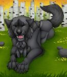  ambiguous_feral ambiguous_gender black_claws black_pawpads canid canine claws eyes_closed fangs feral forest fur grass grey_body grey_fur grey_tail hi_res killthe_demon lying mammal on_front open_mouth outside pawpads plant plushie rock solo tail teeth tree 