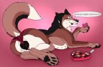  animal_genitalia animal_vulva black_body black_fur black_nose black_pawpads black_vulva blue_eyes bodily_fluids brielle_(wolffylegend) brown_body brown_fur candy canid canine canine_genitalia canine_vulva dessert english_text female female_feral feral food fur genital_fluids genitals hi_res killthe_demon lingerie_on_feral looking_at_viewer mammal narrowed_eyes pawpads side_view solo speech_bubble text vaginal_fluids vulva white_body white_fur 