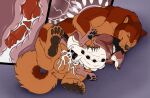  animal_genitalia animal_penis balls bear belly belly_inflation big_belly bite black_body black_claws black_fur black_pawpads bodily_fluids brielle_(wolffylegend) brown_body brown_claws brown_fur brown_pawpads canid canine canine_genitalia canine_penis claws cum cum_in_vagina cum_inflation cum_inside cum_on_balls cum_on_leg cum_on_penis cum_on_sheath cutaway duo eyes_closed female female_penetrated feral feral_on_feral feral_penetrated feral_penetrating feral_penetrating_feral fur genital_fluids genitals hi_res impregnation inflation internal killthe_demon knot lying male male/female male_penetrating male_penetrating_female mammal neck_bite on_side orange_balls orange_body orange_fur orange_sheath pawpads penetration penile penile_penetration penis penis_in_vagina red_body red_fur red_penis rex_(rexg) sex sheath size_difference vaginal vaginal_penetration 