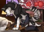  animal_genitalia animal_penis between_legs black_body black_fur bodily_fluids brown_body brown_fur canid canine canine_genitalia canine_penis cervical_penetration cum cum_in_uterus cum_in_vagina cum_inside cutaway duo ember_(crazycobalt) erection eyes_closed female female_penetrated feral feral_on_feral feral_penetrated feral_penetrating feral_penetrating_feral from_front_position frost_(crazycobalt) fur genital_fluids genitals hi_res internal killthe_demon knot lying male male/female male_penetrating male_penetrating_female mammal markings missionary_position on_back open_mouth orange_markings penetration penile penile_penetration penis penis_in_vagina sex side_view uterus vaginal vaginal_penetration white_body white_fur yellow_markings 