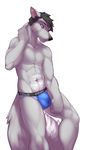  2015 abs anthro blue_eyes bulge canine clothing jockstrap lost-paw male mammal muscles pecs plain_background solo underwear white_background wolf 