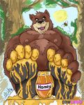  5_toes anthro arthropod bear bee chubby claws foot_focus hindpaw honey insect male mammal masculine nipples open_mouth pawcandy pawpads paws plantigrade soles solo toe_claws toes 