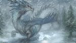  ambiguous_gender blue_eyes chinese_dragon claws cold cool_colors dragon duo feral frost_dragon scales scalie shina size_difference snow snowing tree white_scales winter yellow_sclera しな 