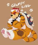  bowser cat digital_media_(artwork) feline koopa male mammal mario_bros meowser nintendo scalie seth-iova solo spike_bracelets spike_collar spike_shell spikes super_mario_3d_world tiger_stripes video_games 