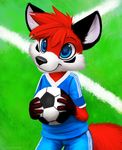  2015 anthro blue_eyes blue_hair canine clothed clothing cub cute fox fur hair jamesfoxbr male mammal red_fur smile soccer solo sports standing young 