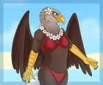  anthro articuno_(artist) avian beach beak bikini bird breasts brown_feathers clothing cloud cloudscape eagle feathered_wings feathers female nipples non-mammal_breasts outside seaside sky solo standing swimsuit wings 