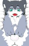  balls big_eyes chest_tuft cub eyebrows fur hair humanoid_penis kemono looking_at_viewer lying male open_mouth penis sirotae_konnta solo teeth tuft uncut young 