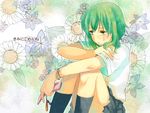  bad_id bad_pixiv_id cellphone green_eyes green_hair gumi kimi_ni_gomen_ne_(vocaloid) phone school_uniform short_hair sitting skirt socks solo tears vocaloid yukimi_ruki 