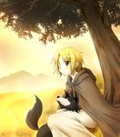  black_dog blonde_hair border_collie brown_cloak cloak dog enekk field nora_arento outdoors shepherd short_hair sitting spice_and_wolf sunset totoka tree yellow_eyes yellow_sky 